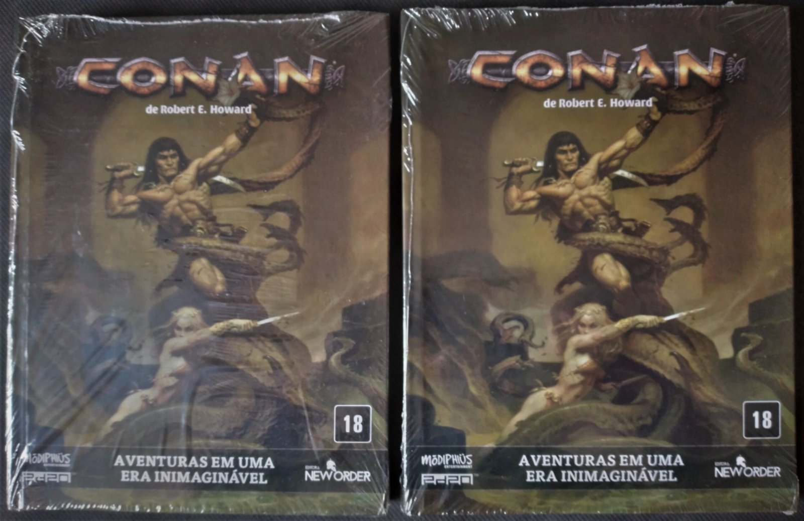 Aventuras na Era Hiboriana: RPG solo de Conan está em financiamento  coletivo! - Joga o D20