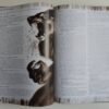 Lobisomem os Destituídos - Livro de RPG - Image 3